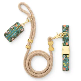 Rifle Paper Co. x TFD Citrus Floral Collar Walk Set